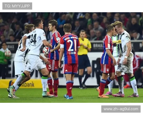 德甲球队分类图解：实力、风格与区域分布