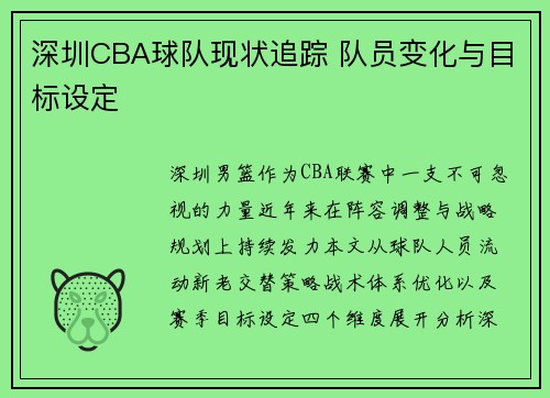 深圳CBA球队现状追踪 队员变化与目标设定