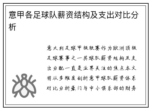 意甲各足球队薪资结构及支出对比分析